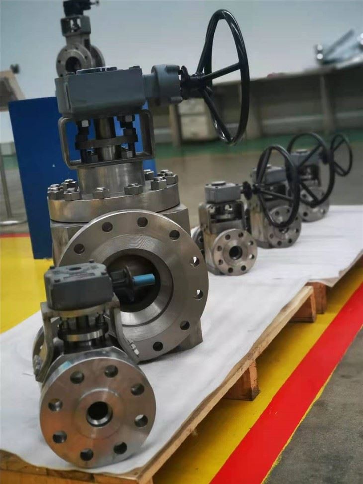 Titanium Valve